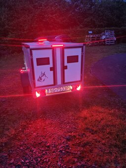 Przyczepka do przewozu psów - 7