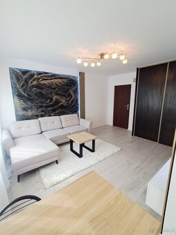 Mieszkanie o powierzchni 24m2, parter, po remoncie, Kalisz - 7