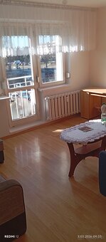 Mieszkanie do wynajęcia - 7