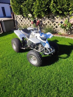 Yamaha Blaster 200 2T - 7