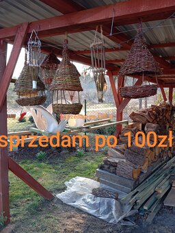 Żywe drzewka z wikliny w donicach - 7