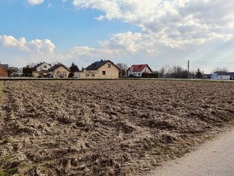 Działka w Pierszycach - 7