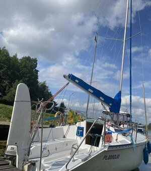 Sprzedam Jacht TANGO 780 Sport - 7