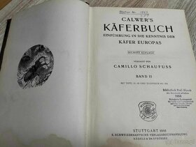 CALWER´S KÄFERBUCH--1916--SCHAUFUSS Camillo--EINFÜHRUNG IN D - 7