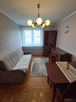 2 pokojowe mieszkanie, 34 m2, III piętro, Centrum - 7