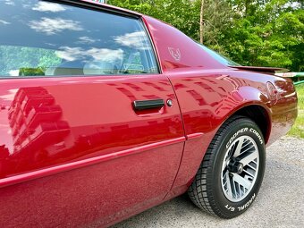 Pontiac Firebird 1991 5.0 V8 - 7