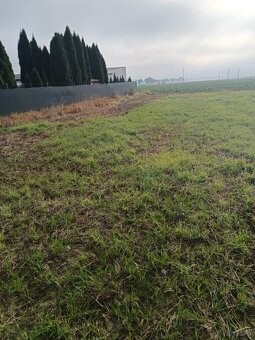 Działka budowlana 93,3 ar - 7