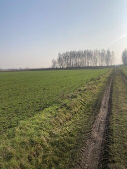 Działka 5 zł/m2 Zachodniopomorskie - 7