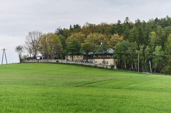 Sprzedaż OSW Złoty Sen - 7