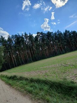 Sprzedam działkę budowlaną - 7
