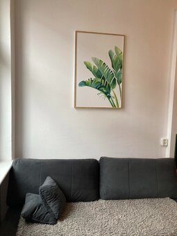 Przytulna i duża kawalerka w centrum Szczecina. - 7