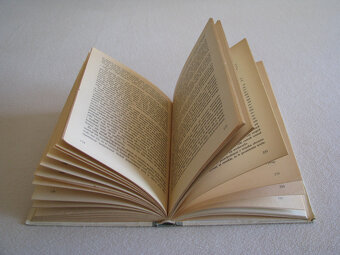 Kapitan Fracasse, Teofil Gautier - 7