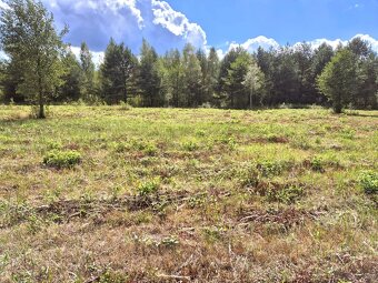 Dom Parterowy - Franciszków-w obok Bolimowskiego Parku - 7