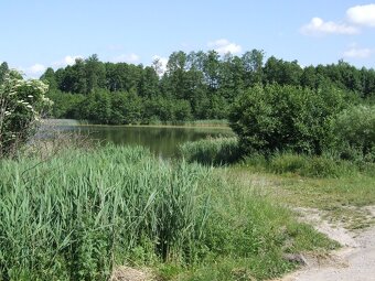 Działka nad jeziorem budowlana 3200m2 Dąbrówka - 7