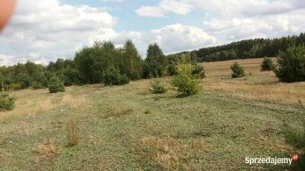 Działka 1050m gm. Aleksandrów Łódzki - Ciężków - 7