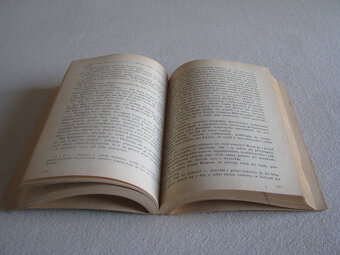 Panienka z okienka, Deotyma (Jadwiga Łuszczewska) - 7