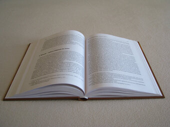 Bankructwa przedsiębiorstw – wybrane aspekty instytucjonalne - 7