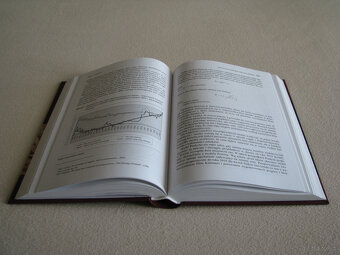 Migracja kapitału w globalnej Gospodarce, Andrzej Szablewski - 7