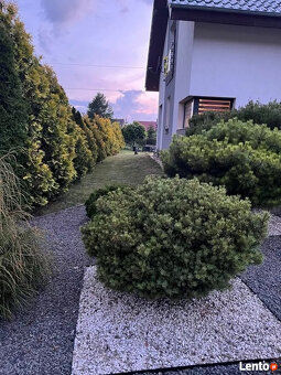 Dom wolnostojący w Starym Żaganiu, 115 m2, 899000, sprzedam - 7