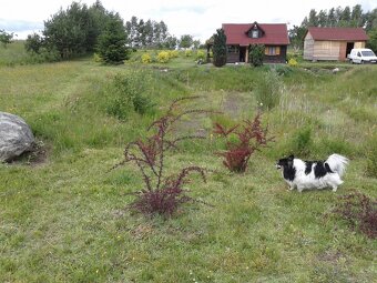 ATRAKCYJNA DZIAŁKA  UZBROJONA DOM LETNI BLISKO TRÓJMIASTA. W - 7