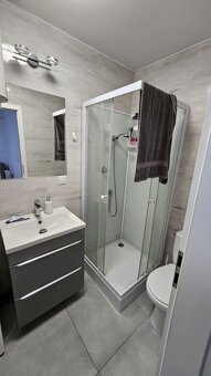 Wynajmę nowoczesne małe mieszkanie. 20 m. Kuchnia aneks kuch - 7