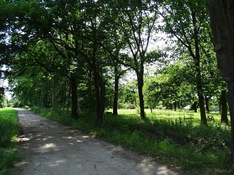 Działka pod inwestycję mieszkaniową, Zajączków - 7