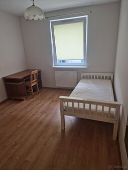 Wynajmę mieszkanie w Śródmieściu - 7
