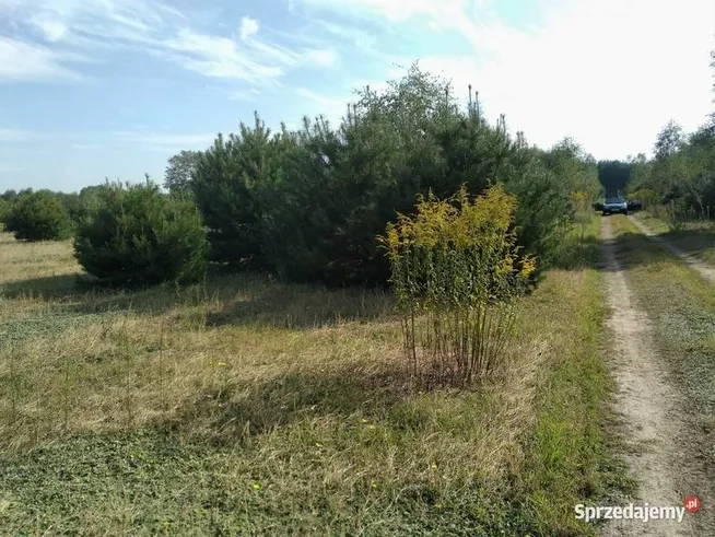 Działka 1050m gm. Aleksandrów Łódzki - Ciężków - 8