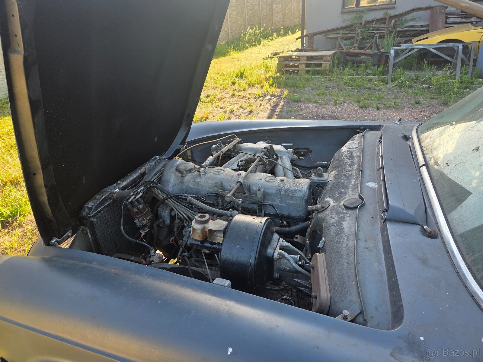 Mercedes w113 Pagoda - 8