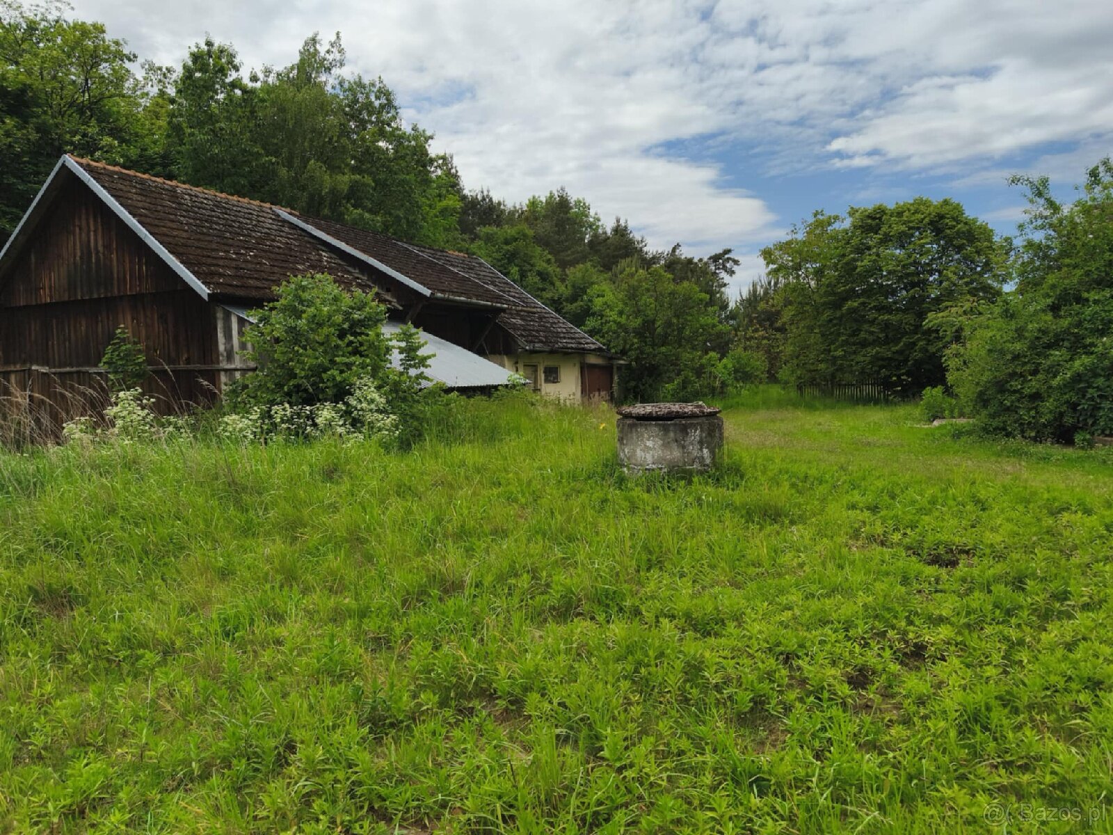 Dom w zielonej i spokojnej miejscowości - 8