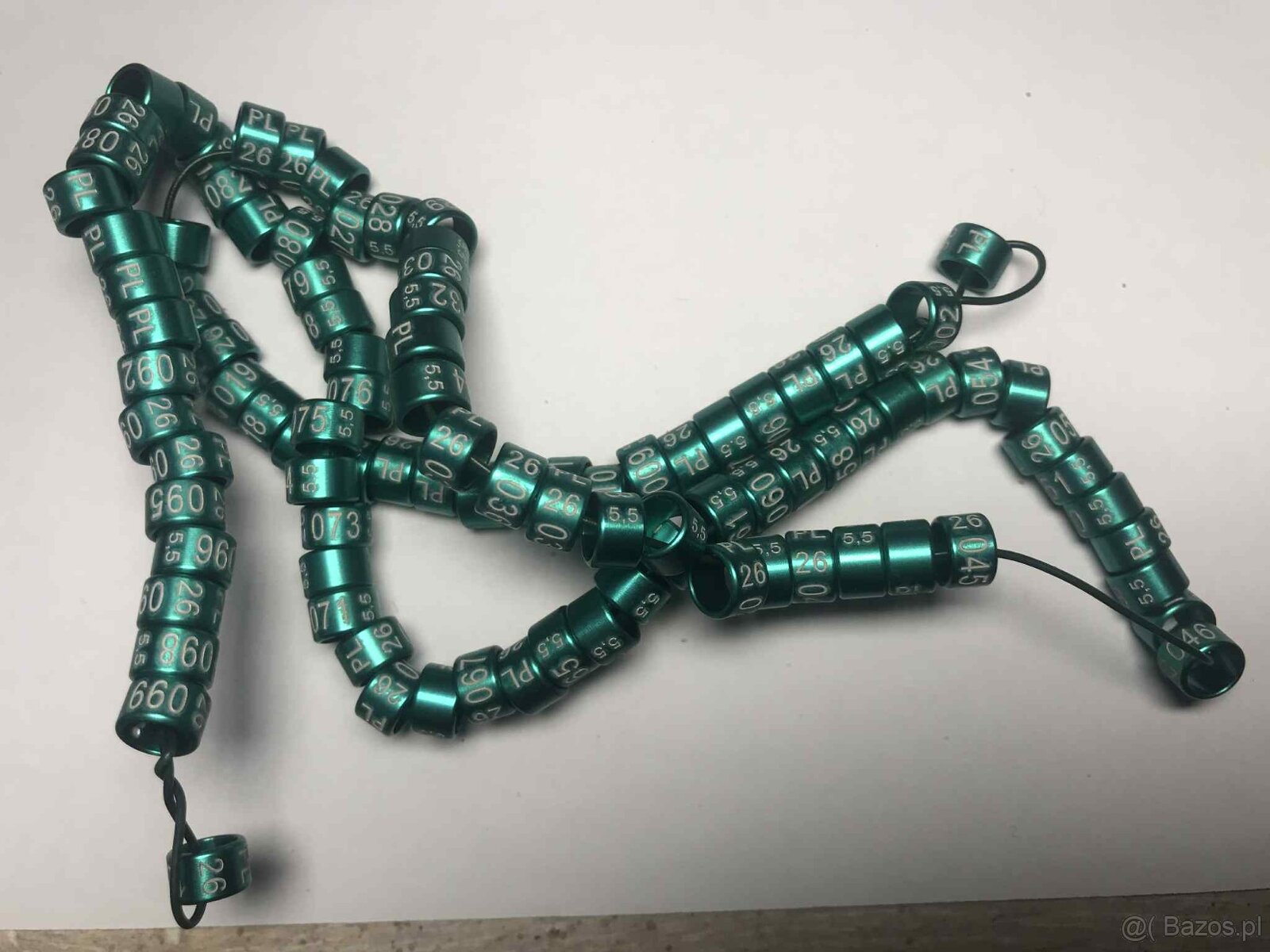 Obrączki na rok 2026 kolor zielony - 8