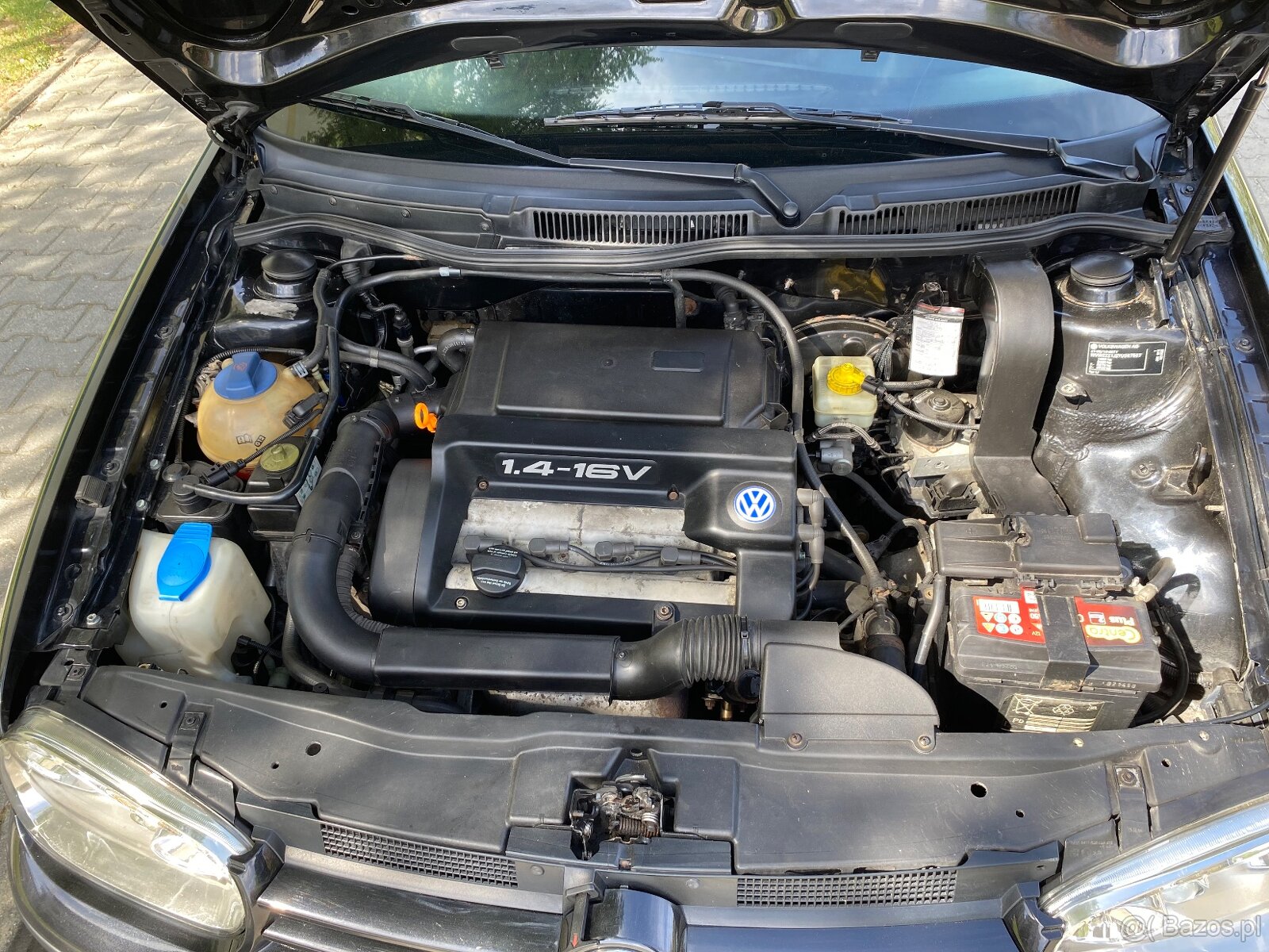 Golf4 - 8