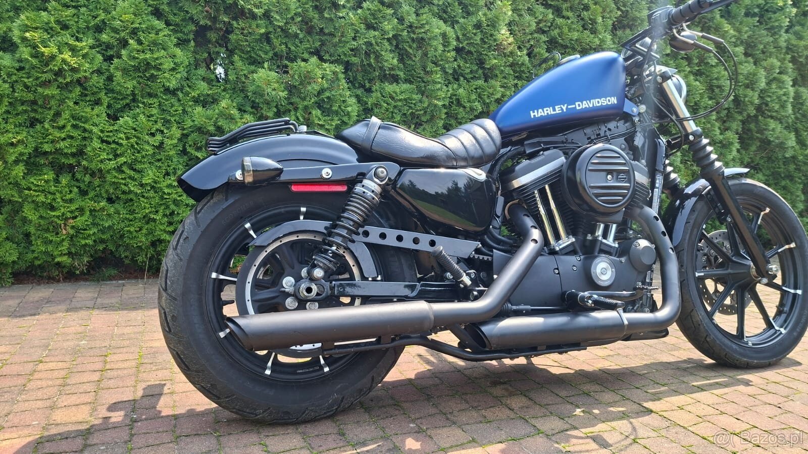 Sportster IRON Harley Davidson - 8