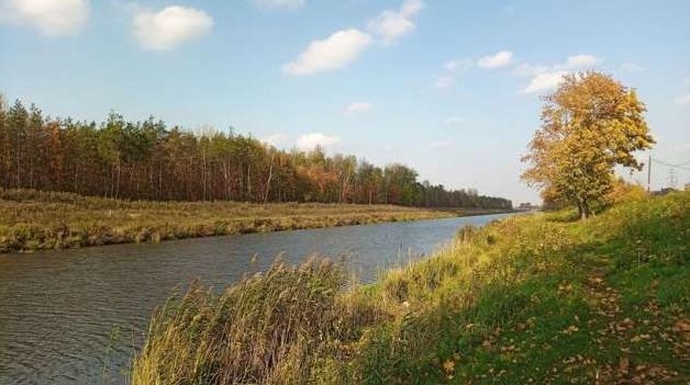 Białołęka-Warszawa 1000m2 ul. Białołęcka - działka budowlan - 8
