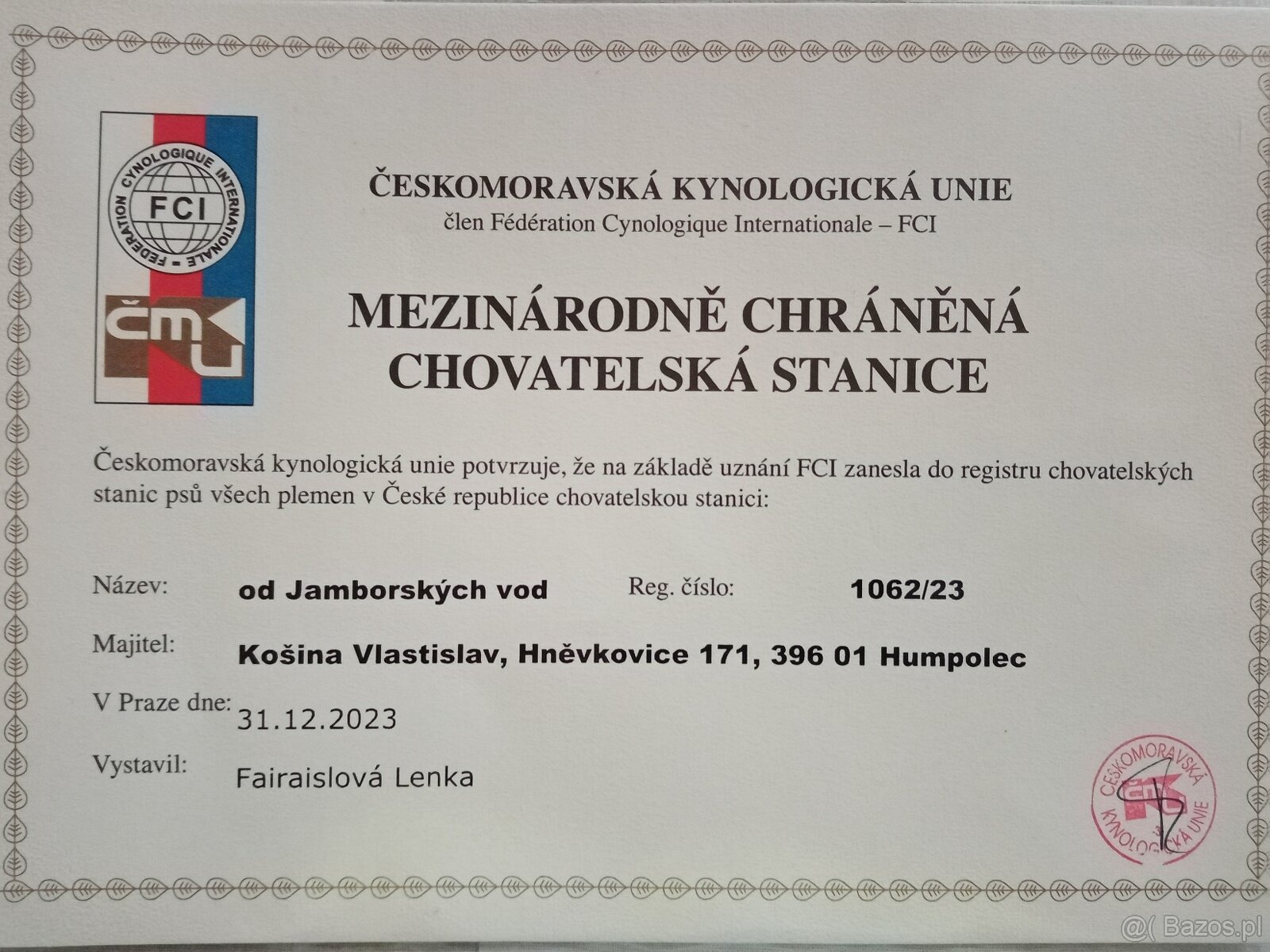 Pies pasterski Appenzeller - szczenięta FCI - 8