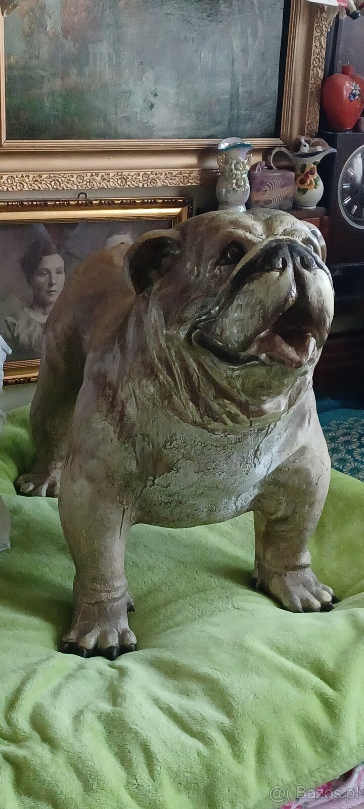 figura BULDOG ANGIELSKI XXL z żywicy wysokośc 74 z glowa 56c - 8