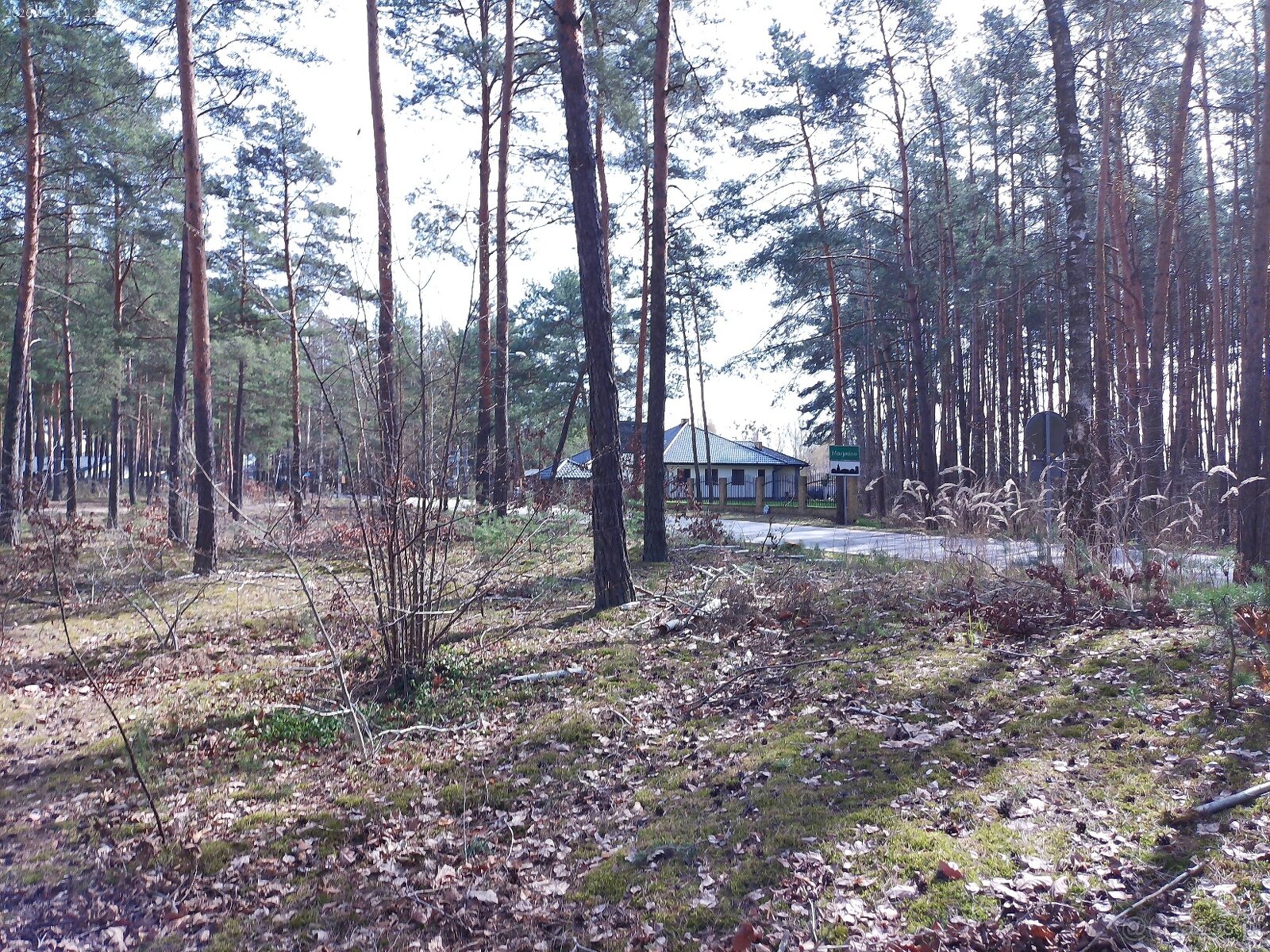 Leśno-budowlana - 8