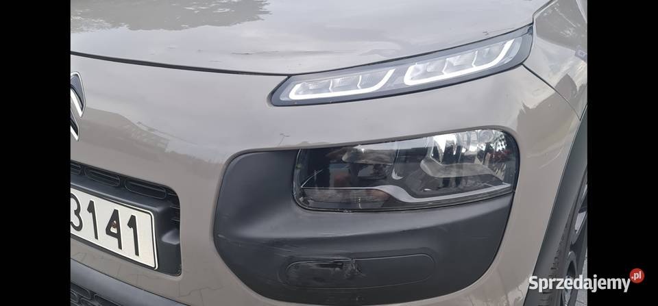 Cactus Sprawdz go w warsztacie na godziny tel. 519 853 348 - 8