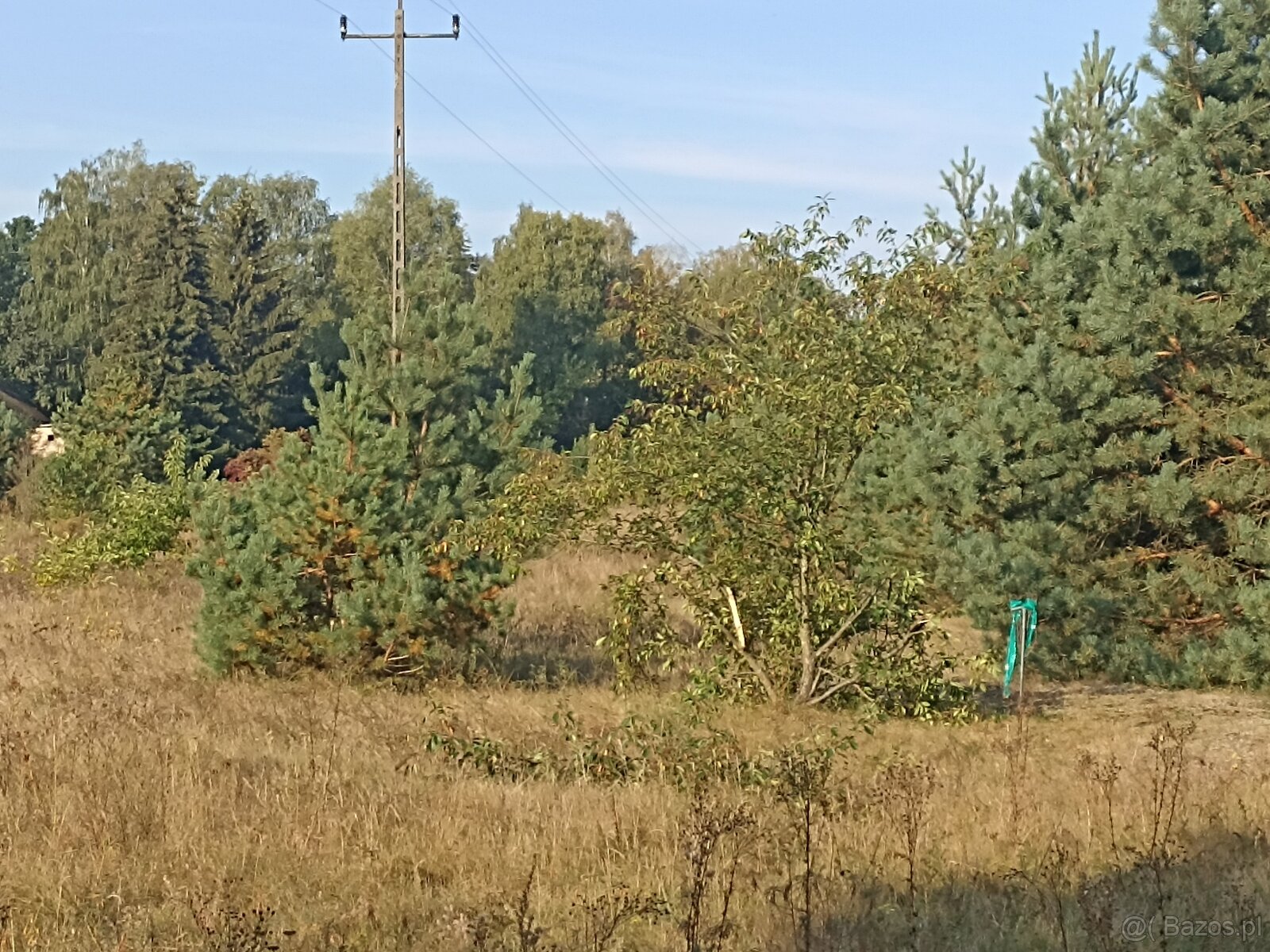 Sprzedam działkę inwestycyjną z warunkami zabudowy - 8