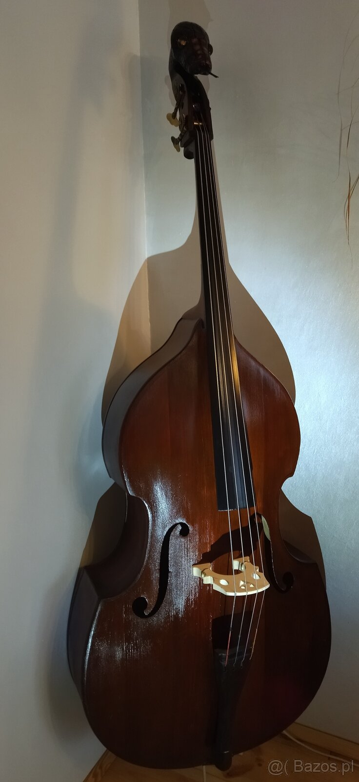 Kontrabas 4/4 Pyton Moskiewski - 8