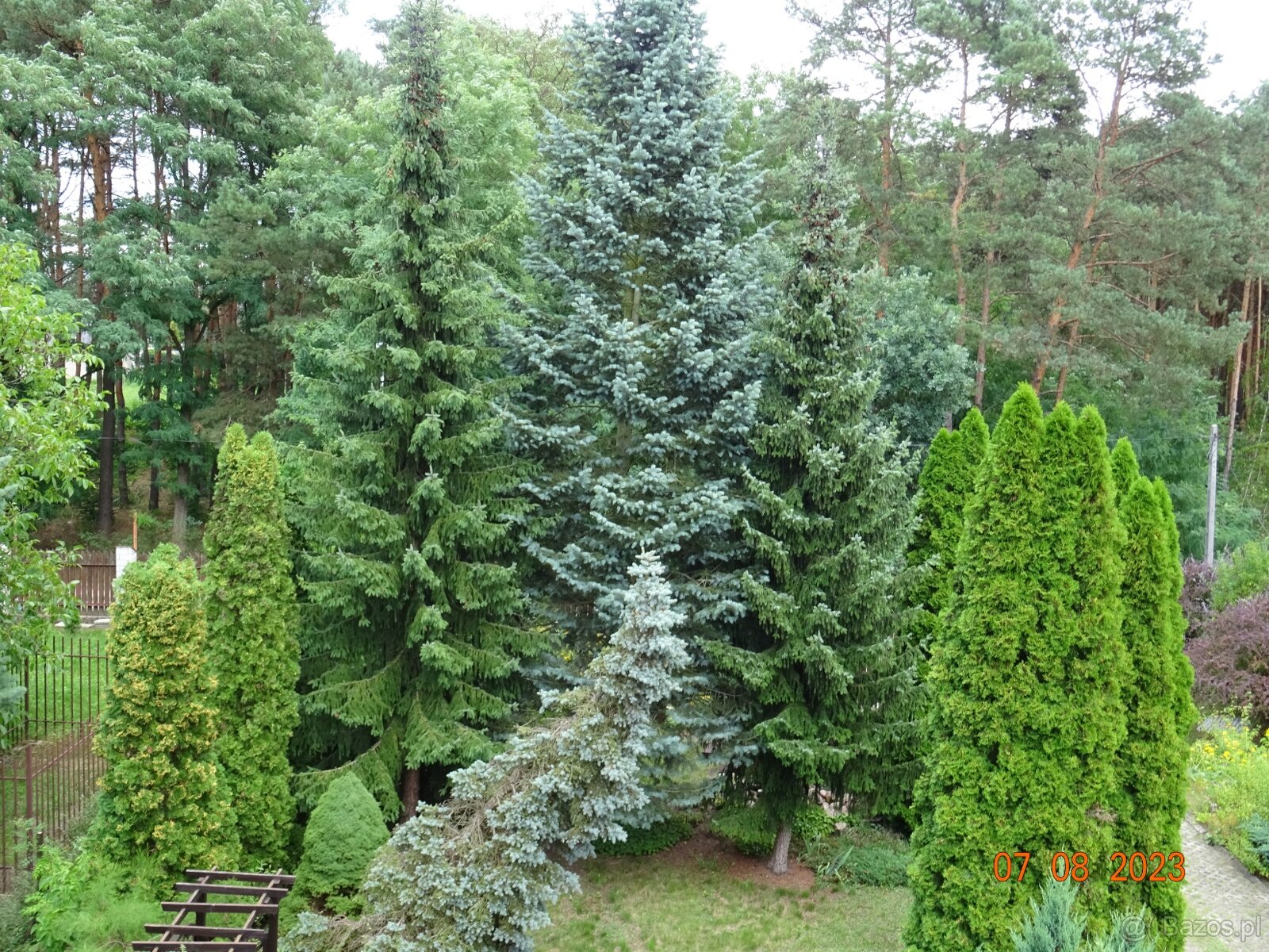 Dom wśród zieleni przy lesie - 8