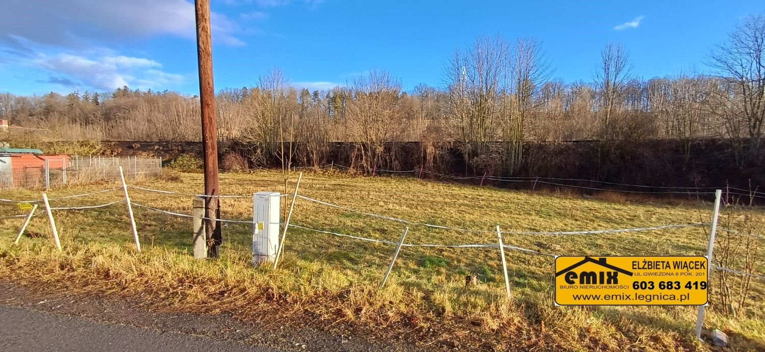 Działka budowlana 15 ar w okolicy Świerzawy - 8