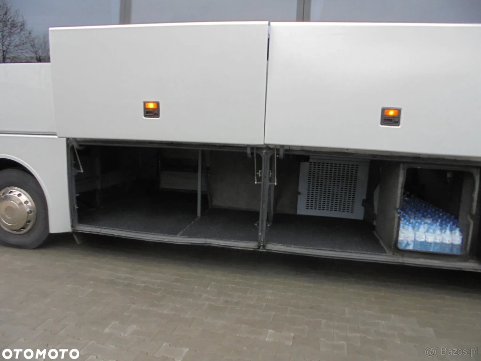 MAN R07 Lions Coach - 8