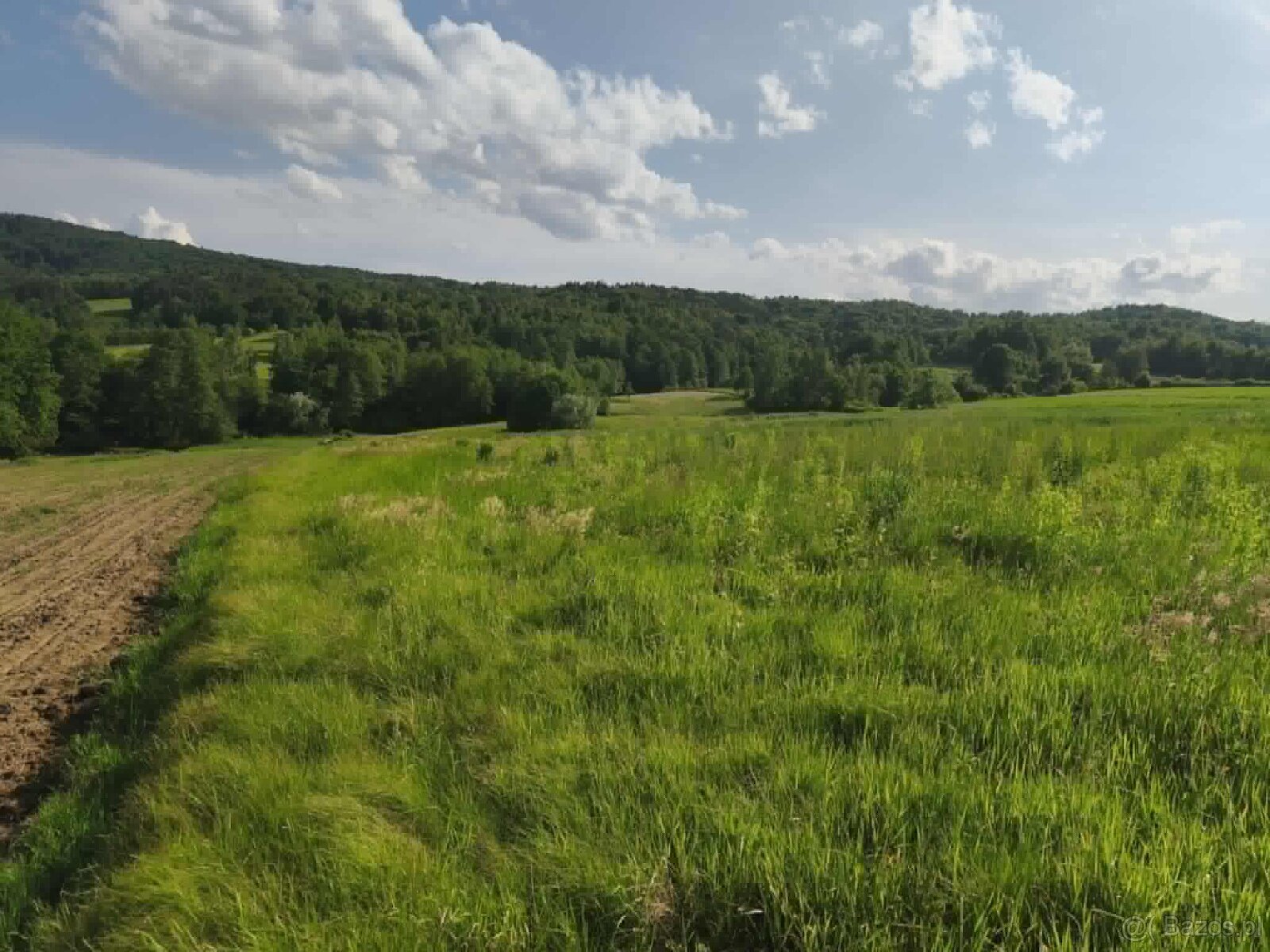 Lipnica Dolna-malownicze miejsce z potencjałem inwestycyjnym - 8