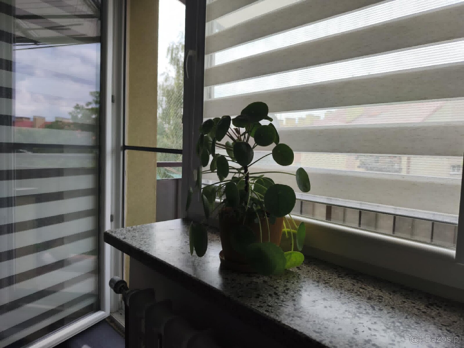 Dwupokojowe mieszkanie na Brandstaettera - 8