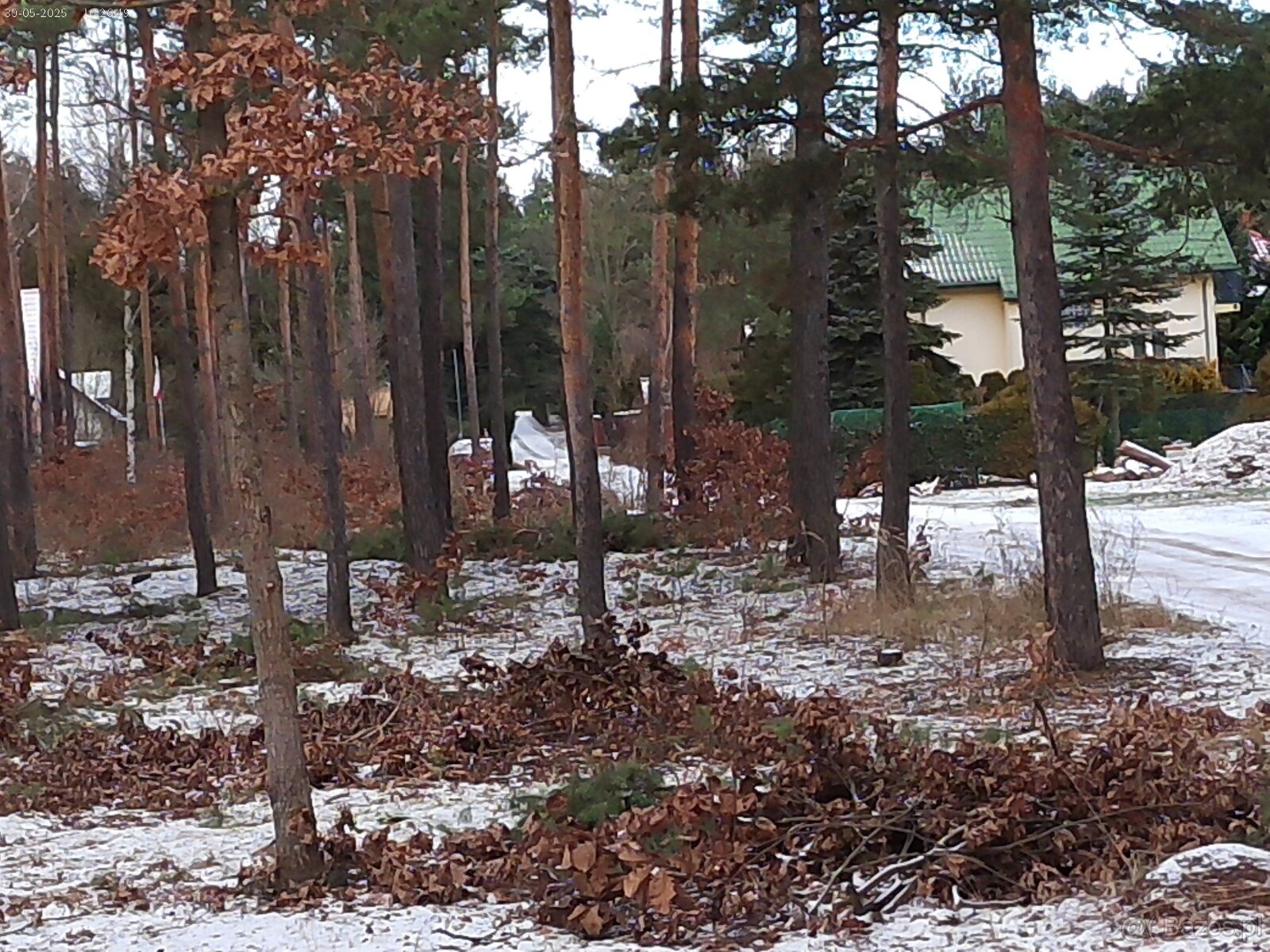 Leśno-budowlana - 8