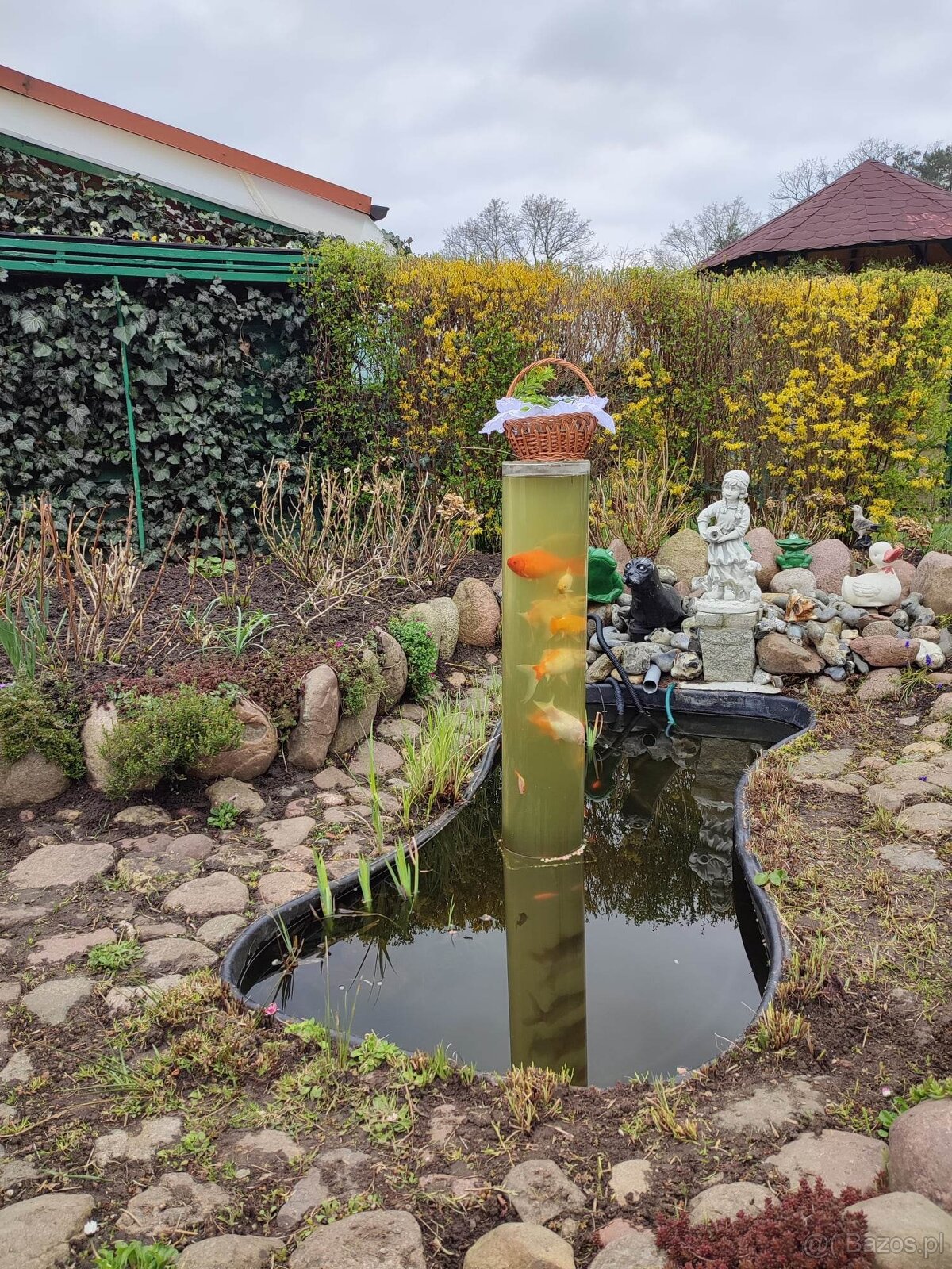 Sprzedam działkę ROD Stokrotka Klucze - 8