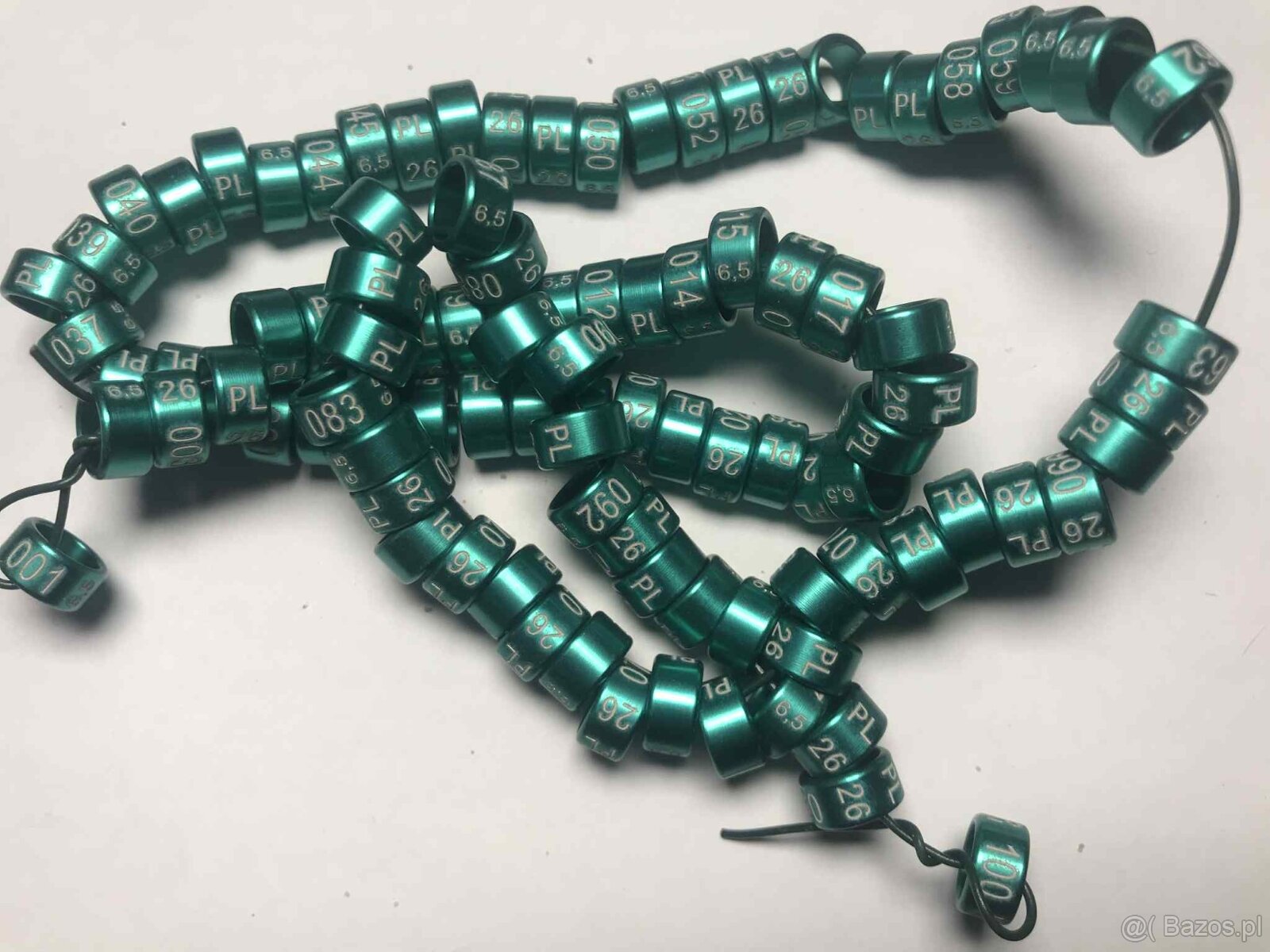 Obrączki na rok 2026 kolor zielony - 8