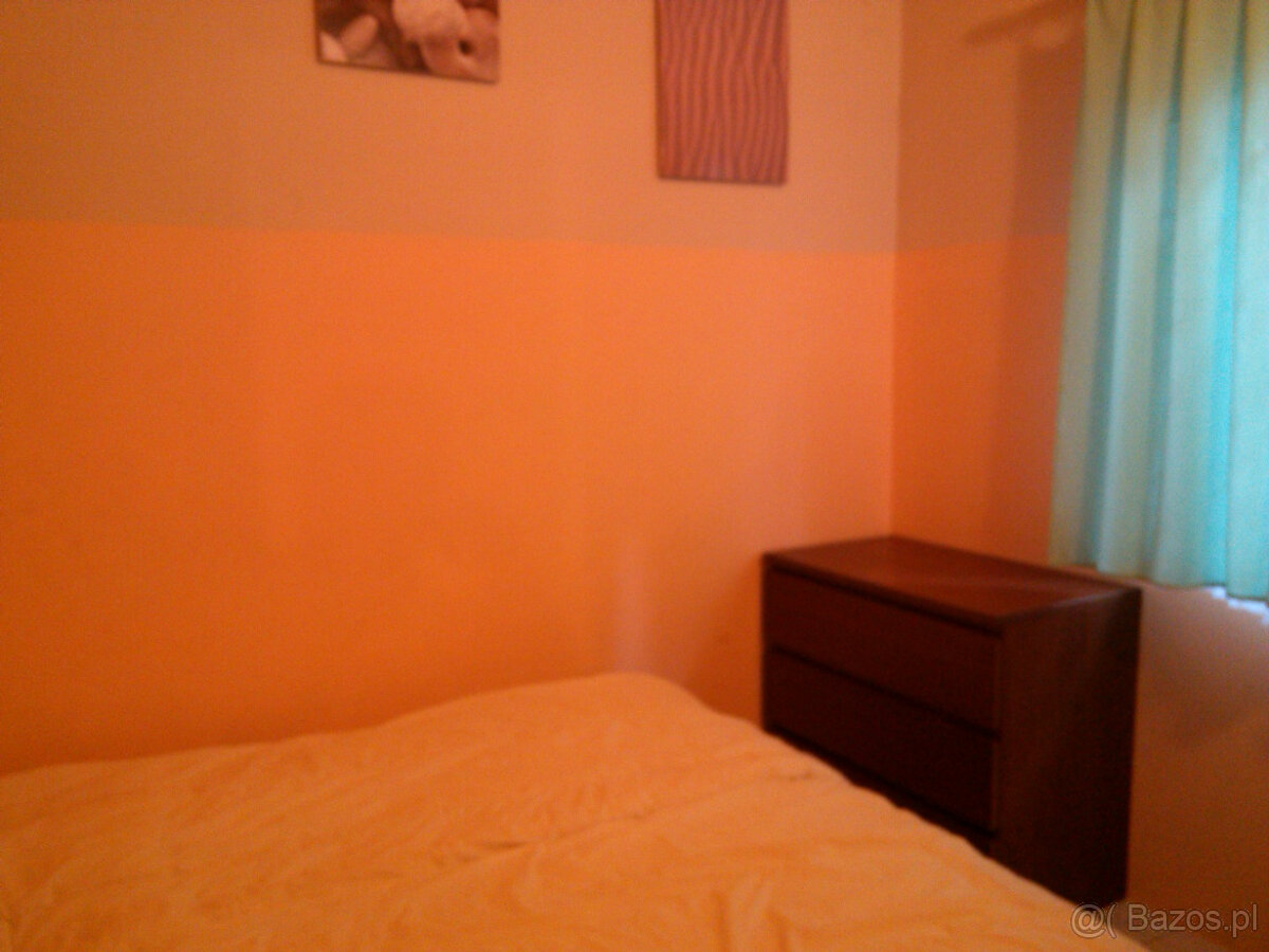 SEZON--2025-Samodzielny dom z ogrodzoną działką nad jeziorem - 8