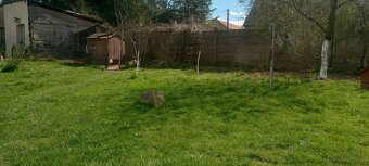 Mieszkanie z ogrodem - 8